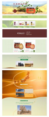 蓯新開始 打造專業養生產品網站，開啟健康產業新篇章